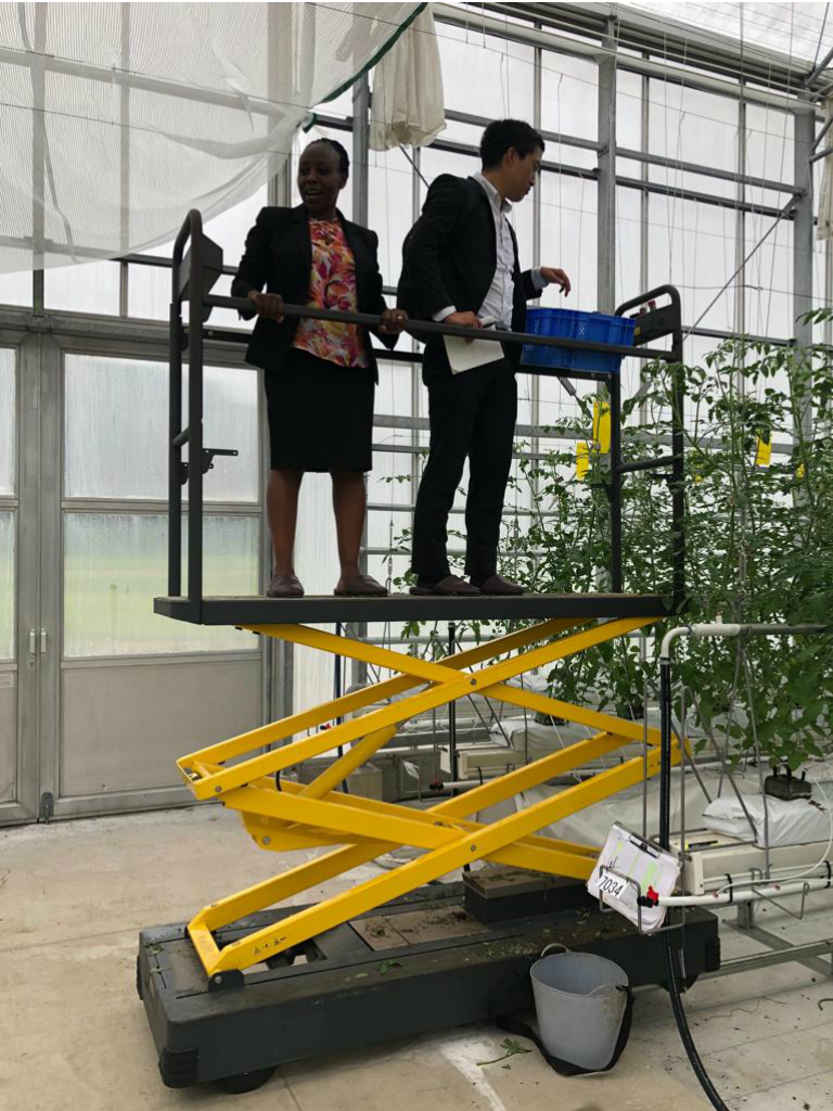 GPEC 施設園芸・植物工場展2018