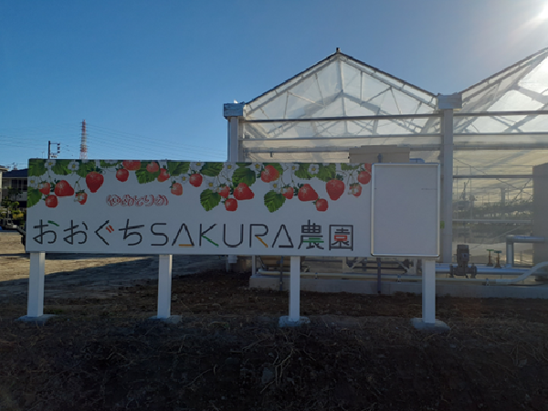 愛知県 おおぐちSAKURA農園