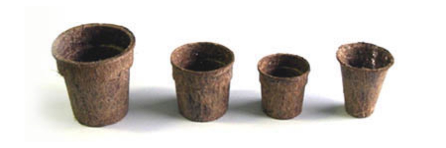 coco_pot.jpg